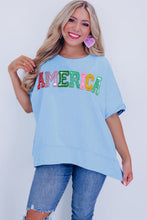 Cargar imagen en el visor de la galería, Mist Blue Sparkle America Pastel Embroidered Graphic T-shirt
